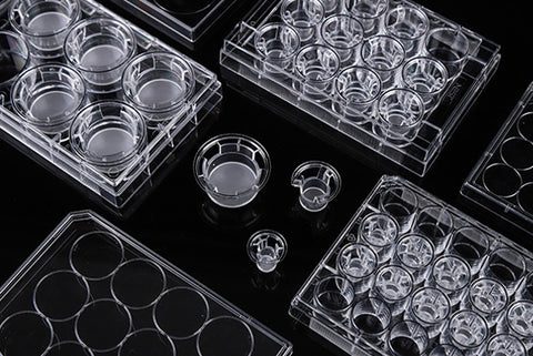 NEST® Cell Culture Inserts, Non-treated, PC Membrane, Polycarbonate, Non-TC, 12 well