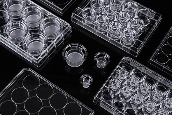 NEST® Cell Culture Inserts, Non-treated, PET Membrane, Non-TC, 3 µm