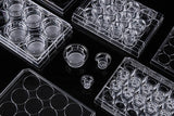 NEST® Cell Culture Inserts, Non-treated, PC Membrane, Polycarbonate, Non-TC