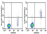 Anti-Human CD79B Antibody [CB3-1] - ABMIUM
