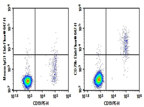 Anti-Human CD79B Antibody [CB3-1] - ABMIUM