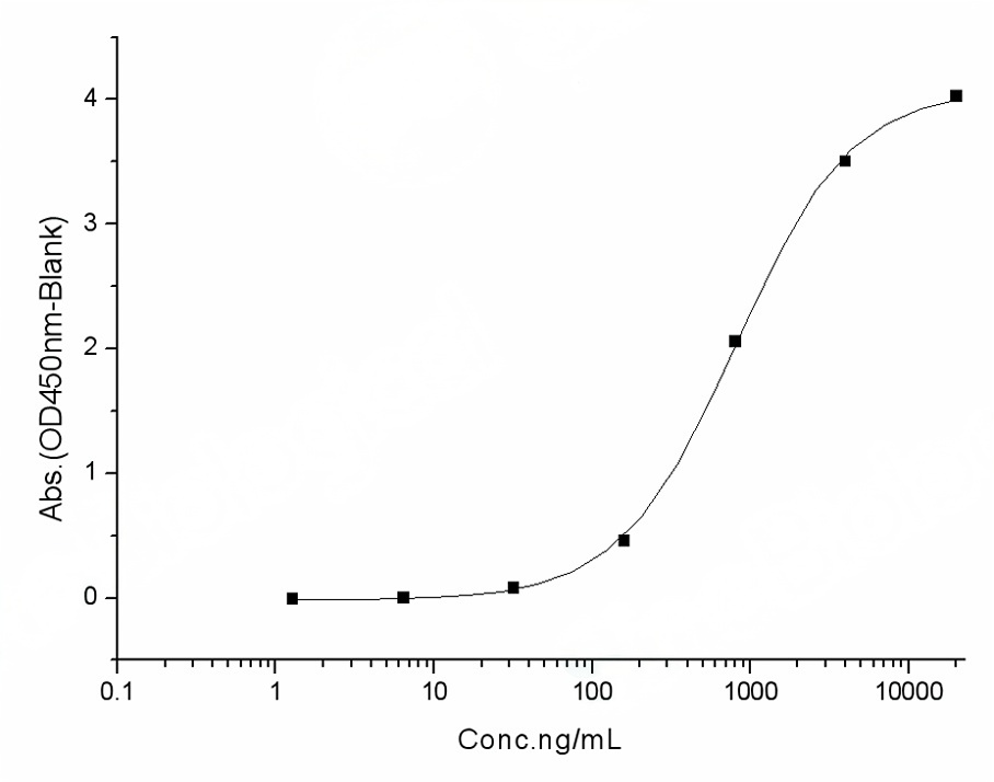 Measured by its binding ability in a functional ELISA.Immobilized human ACE2 protein (Fc tag)(Cat: PKSH031870) at 2 μg/mL (100 μL/well) can bind SARS-CoV-2 (2019-nCoV) Spike S1+S2 ECD (D614G)-His(PKSV030392), the EC<sub>50</sub> of SARS-CoV-2 (2019-nCoV) Spike S1+S2 ECD (D614G)-His(PKSV030392) is 0.5-1.2 μg/mL.