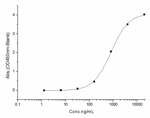 Measured by its binding ability in a functional ELISA.Immobilized human ACE2 protein (Fc tag)(Cat: PKSH031870) at 2 μg/mL (100 μL/well) can bind SARS-CoV-2 (2019-nCoV) Spike S1+S2 ECD (D614G)-His(PKSV030392), the EC<sub>50</sub> of SARS-CoV-2 (2019-nCoV) Spike S1+S2 ECD (D614G)-His(PKSV030392) is 0.5-1.2 μg/mL.