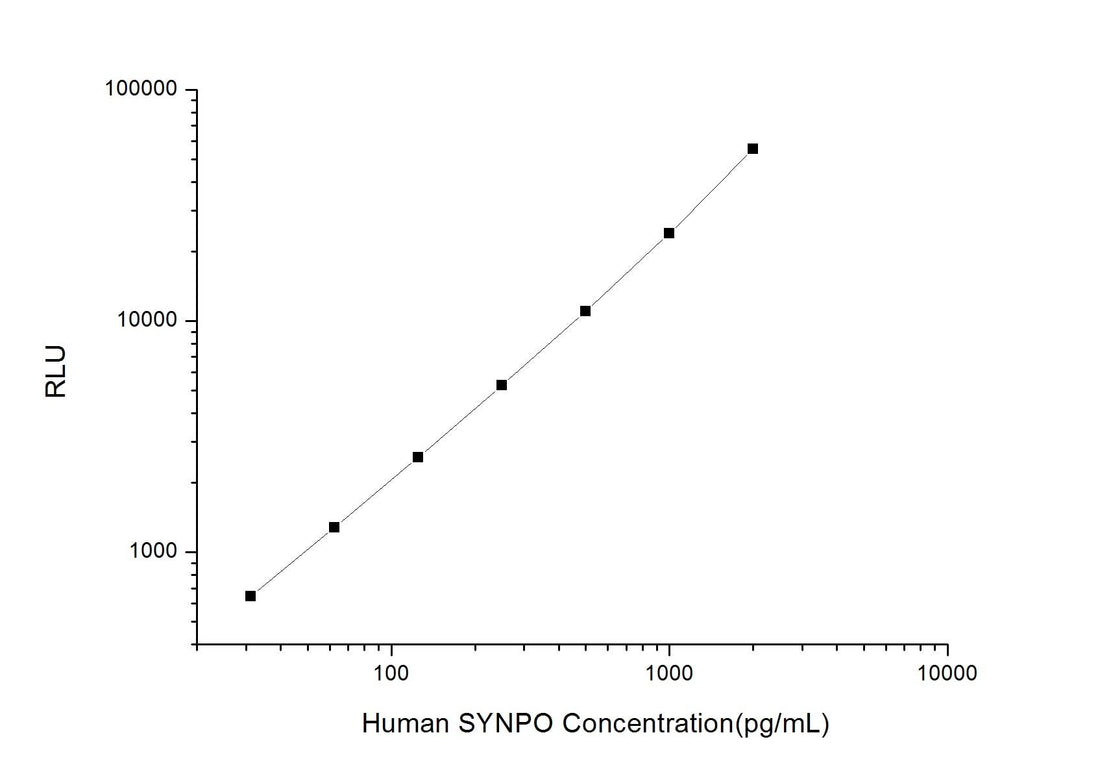 Human SYNPO (Synaptopodin) CLIA Kit - ABMIUM