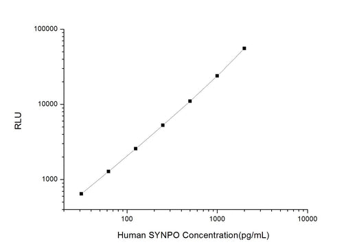 Human SYNPO (Synaptopodin) CLIA Kit - ABMIUM
