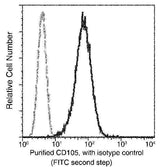 Anti-Human ENG Antibody [A1122] - ABMIUM