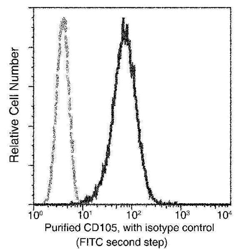 Anti-Human ENG Antibody [A1122] - ABMIUM
