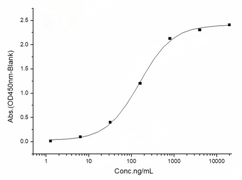 Measured by its binding ability in a functional ELISA. Immobilized human ACE2 protein (His tag) at 2μg/mL (100μL/well) can bind SARS-CoV-2 (2019-nCoV) Spike Protein (S1, mFc Tag)(PKSR030504), the EC<sub>50</sub> of 2019-nCoV Spike Protein (S1, mFc Tag) is 90-240 ng/mL.