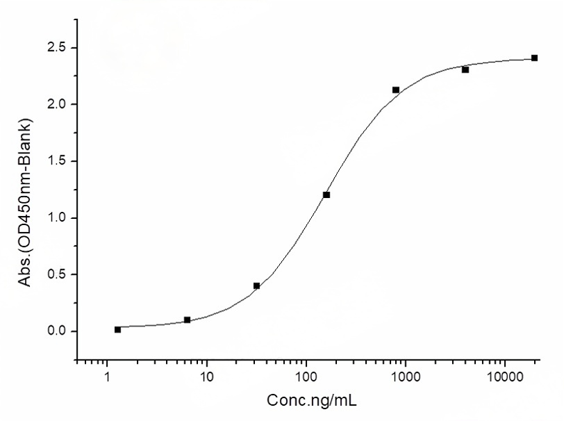 Measured by its binding ability in a functional ELISA. Immobilized human ACE2 protein (His tag) at 2μg/mL (100μL/well) can bind SARS-CoV-2 (2019-nCoV) Spike Protein (S1, mFc Tag)(PKSR030504), the EC<sub>50</sub> of 2019-nCoV Spike Protein (S1, mFc Tag) is 90-240 ng/mL.