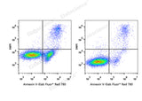 Annexin V-Elab Fluor® Red 780/DAPI Apoptosis Kit - ABMIUM