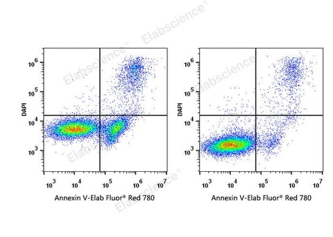 Annexin V-Elab Fluor® Red 780/DAPI Apoptosis Kit - ABMIUM