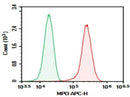 Anti-Human MPO Antibody [1B10] - ABMIUM
