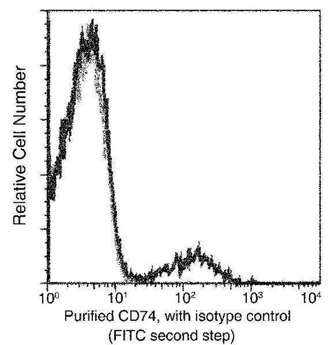 Anti-Human CD74 Antibody [A869] - ABMIUM