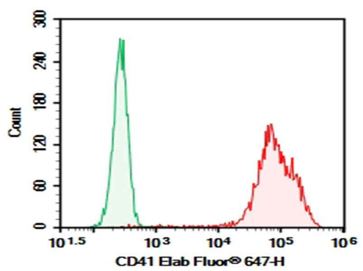 Anti-Human CD41 Antibody [7E3] - ABMIUM