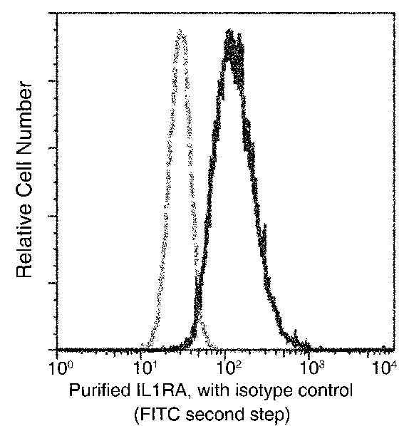 Anti-Human IL1RN Antibody [A880] - ABMIUM