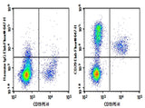 Rat bone marrow lymphocytes were stained with 0.2 μg AF/LE Purified Anti-Mouse/Rat CD29 Antibody[HMβ1-1] (Right) and 0.2 μg Armenian Hamster IgG, κ Isotype Control (Left), followed by Elab Fluor<sup>®</sup> 647-conjugated Goat Anti-Armenian Hamster IgG Secondary Antibody, then anti-Rat CD19 PE-conjugated Monoclonal Antibody.