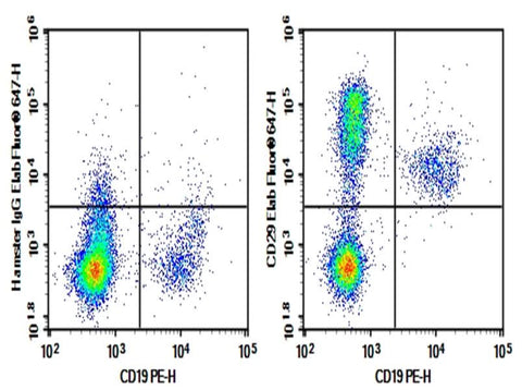 Rat bone marrow lymphocytes were stained with 0.2 μg AF/LE Purified Anti-Mouse/Rat CD29 Antibody[HMβ1-1] (Right) and 0.2 μg Armenian Hamster IgG, κ Isotype Control (Left), followed by Elab Fluor<sup>®</sup> 647-conjugated Goat Anti-Armenian Hamster IgG Secondary Antibody, then anti-Rat CD19 PE-conjugated Monoclonal Antibody.