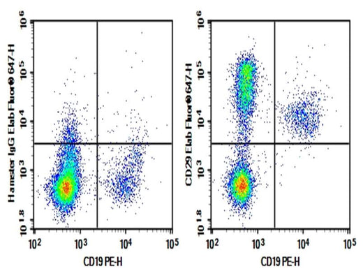 Rat bone marrow lymphocytes were stained with 0.2 μg AF/LE Purified Anti-Mouse/Rat CD29 Antibody[HMβ1-1] (Right) and 0.2 μg Armenian Hamster IgG, κ Isotype Control (Left), followed by Elab Fluor<sup>®</sup> 647-conjugated Goat Anti-Armenian Hamster IgG Secondary Antibody, then anti-Rat CD19 PE-conjugated Monoclonal Antibody.