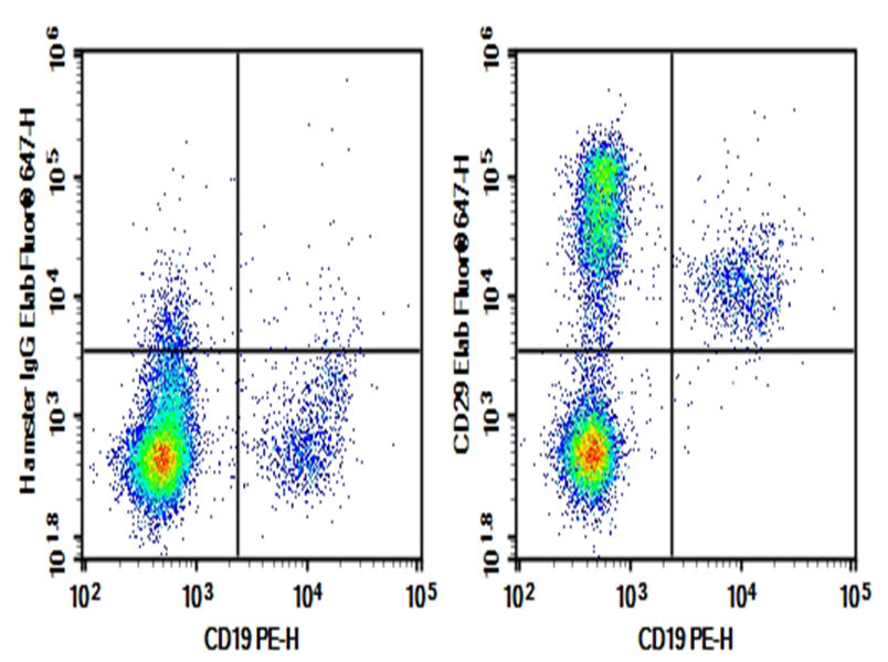 Rat bone marrow lymphocytes were stained with 0.2 μg AF/LE Purified Anti-Mouse/Rat CD29 Antibody[HMβ1-1] (Right) and 0.2 μg Armenian Hamster IgG, κ Isotype Control (Left), followed by Elab Fluor<sup>®</sup> 647-conjugated Goat Anti-Armenian Hamster IgG Secondary Antibody, then anti-Rat CD19 PE-conjugated Monoclonal Antibody.