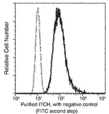 Anti-Human ITCH Antibody [A912] - ABMIUM