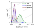 Camptothecin-induced apoptosis in HL-60 cells. Test: HL-60 cells were treated with 2.5 μM Camptothecin for 4h. Control: Normal HL-60 cells were not treated with drugs. Negative: HL-60 cells were treated with 2.5 μM camptothecin for 4h without TdT enzyme.