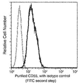 Anti-Human CD55 Antibody [A1127] - ABMIUM