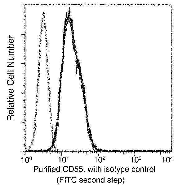 Anti-Human CD55 Antibody [A1127] - ABMIUM