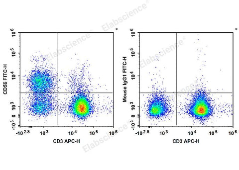 Human peripheral blood lymphocytes are stained with APC Anti-Human CD3 Antibody and FITC Anti-Human/Monkey CD56 Antibody (Left). Lymphocytes are stained with APC Anti-Human CD3 Antibody and FITC Mouse IgG1, κ Isotype Control (Right).