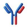 Antibodies