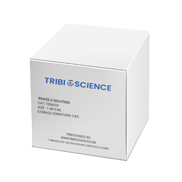 RNase A Solution