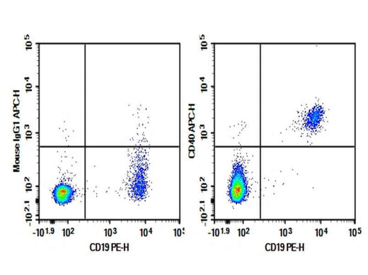 Anti-Human CD40 Antibody [HB14] - ABMIUM