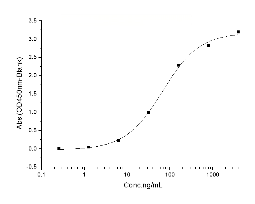 Immobilized Human EphB1 His(Cat: PKSH030955) at 2 μg/mL (100 μL/well) can bind Human Ephrin-B1 His & hFc(Cat: PKSH031370), the EC<sub>50</sub> of Human Ephrin-B1 His & hFc(Cat: PKSH031370) is 35-200 ng/mL.