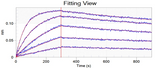 SARS-CoV-2 Coronavirus spike Protein 33245,Loaded ACE2 Protein, Human, Recombinant (mFc Tag) (Cat. No. PKSH031870) on AMC Biosensor, can bind SARS-CoV-2 (2019-nCoV) Spike RBD(N501Y)-His Recombinant Protein(Cat: PKSV030352) with an affinity constant of 0.827 nM as determined by Octet RED96e system.