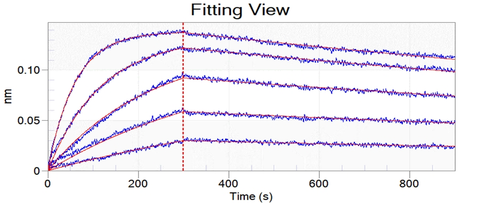 SARS-CoV-2 Coronavirus spike Protein 33245,Loaded ACE2 Protein, Human, Recombinant (mFc Tag) (Cat. No. PKSH031870) on AMC Biosensor, can bind SARS-CoV-2 (2019-nCoV) Spike RBD(N501Y)-His Recombinant Protein(Cat: PKSV030352) with an affinity constant of 0.827 nM as determined by Octet RED96e system.