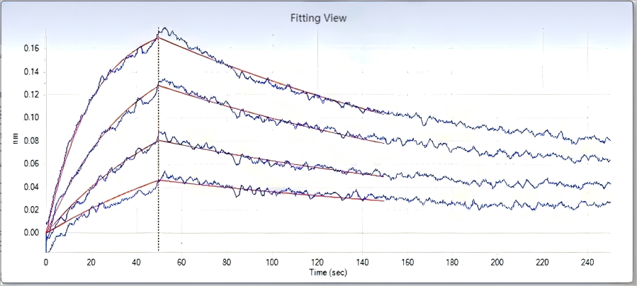 SARS-CoV-2 Coronavirus spike Protein 33243,Loaded ACE2 Protein, Human, Recombinant (mFc Tag) (Cat. No. PKSH031870) on AMC Biosensor, can bind SARS-CoV-2 (2019-nCoV) Spike S1-His Recombinant Protein (Cat: PKSR030503) with an affinity constant of 47.7 nM as determined by Octet RED System.