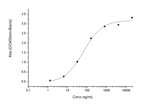 Measured by its binding ability in a functional ELISA.Immobilized human ACE2 protein (His tag) at 2 μg/mL (100 μL/well) can bind SARS-CoV Spike/S1 Protein (S1 Subunit, mFc Tag) (PKSV030107), the EC<sub>50</sub> of SARS-CoV Spike/S1 Protein (S1 Subunit, mFc Tag)is 50-120 ng/mL.