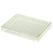 96 Well Cell Culture Plate, flat, TC, sterile, Bulk, 10/pk, 100/cs — NEST Cat. No. 701002