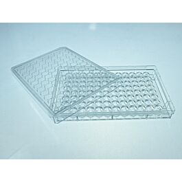 96 Well Cell Culture Plate, V-bottom, TC, sterile 1/pk, 100/cs — NEST Cat. No. 701201