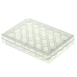 24 Well Cell Culture Plate, Flat, TC, Sterile, Individually plastic wrapped, 1/pk, 50/cs — NEST Cat. No. 702003