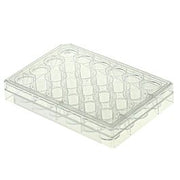 24 Well Cell Culture Plate, flat, TC, sterile, Bulk, 10/pk, 50/cs — NEST Cat. No. 702002