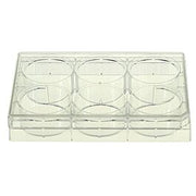 6 Well Cell Culture Plate, Flat, TC, sterile 1/pk, 50/cs — NEST Cat. No. 703001