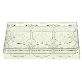 6 Well Cell Culture Plate, flat, TC, sterile, Bulk, 10/pk, 50/cs — NEST Cat. No. 703002