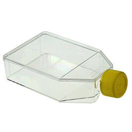 75cm2 Cell Culture Flask, Vent Cap, Non-Treated, sterile, Maximum Working Volume 250mL, 5/pk, 100/cs — NEST Cat. No. 708013