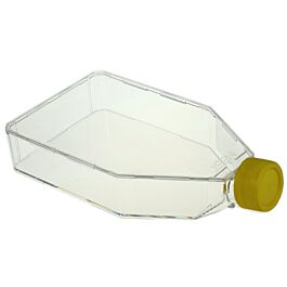 175cm2 Cell Culture Flask, Plug Seal Cap, Non-Treated, sterile, Maximum Working Volume 750mL, 5/pk, 40/cs — NEST Cat. No. 709011