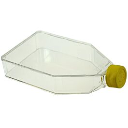 175cm2 Cell Culture Flask, Vent Cap, Non-Treated, sterile, Maximum Working Volume 750mL, 5/pk, 40/cs — NEST Cat. No. 709013
