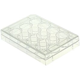 12 Well Cell Culture Plate, Flat, TC, Sterile, Individually plastic wrapped, 1/pk, 50/cs — NEST Cat. No. 712003