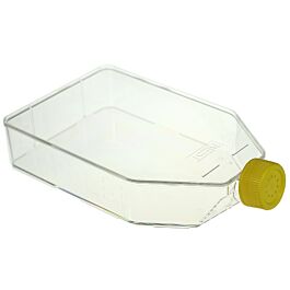 225cm2 Cell Culture Flask, Vent Cap, Non-Treated, sterile, Maximum Working Volume 950mL, 5/pk, 25/cs — NEST Cat. No. 721013