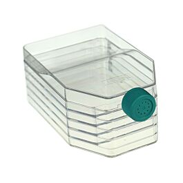 5-Layer Cell Culture Flask, Vent Cap,  Straight Neck, TC, sterile 1/pk, 8/cs — NEST Cat. No. 731002