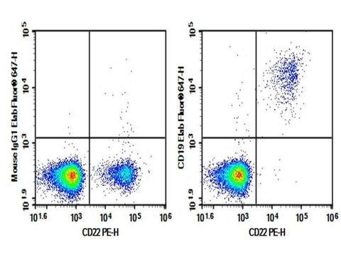 Anti-Human CD19 Antibody [HIB19] - ABMIUM