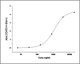 Measured by its binding ability in a functional ELISA. Immobilized Rat PCSK9 at 10 μg/ml (100 μl/well) can bind biotinylated recombinant mouse LDLR . The EC<sub>50</sub> of biotinylated mouse LDLR is 0.173 μg/ml.